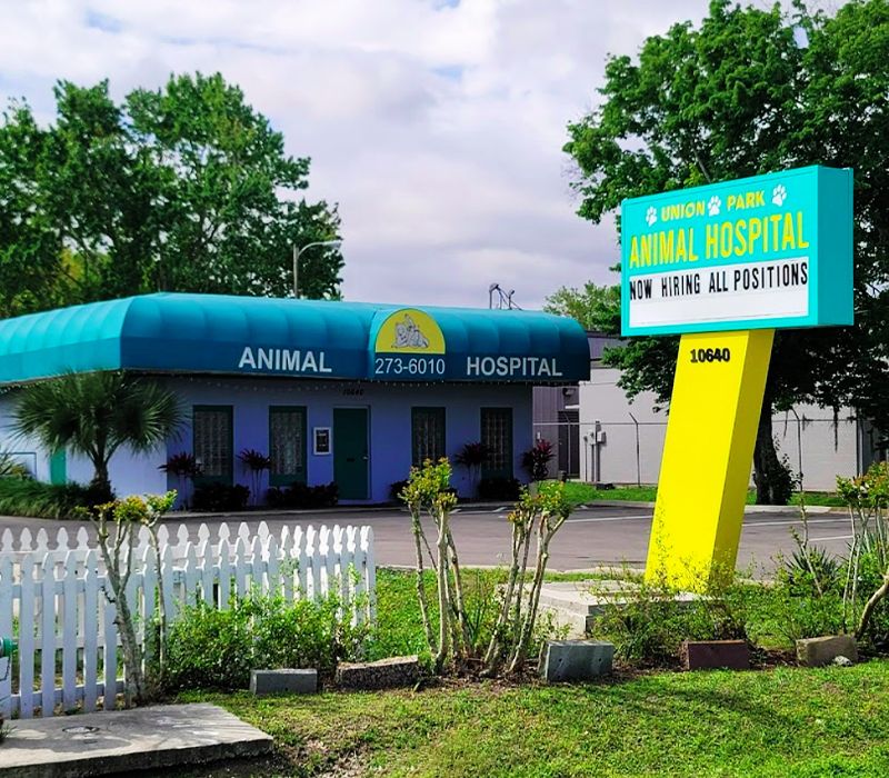 union park animal hospital and urgent care entrance