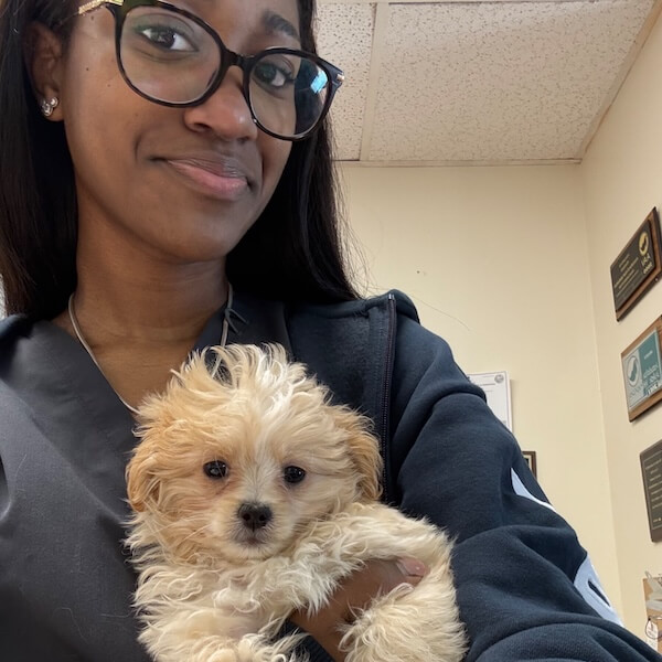 Miyah