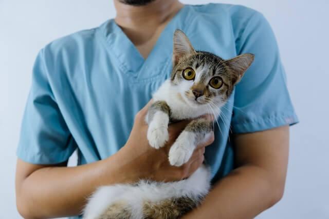 Urgent and Emergency Care