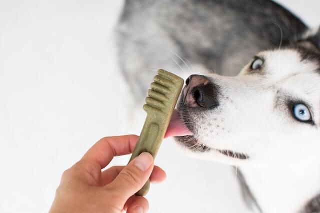 Dental Care